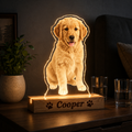 Custom Shape Night Light (UV)